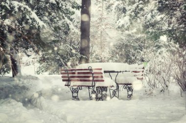 Noel sahne bir parkta