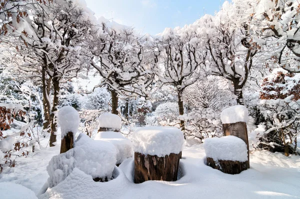 Zima w ogrodzie — Zdjęcie stockowe