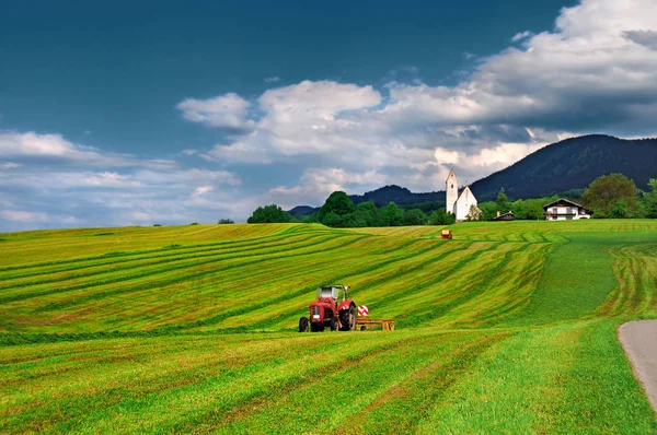 Traktor som arbetar på fältet — Stockfoto