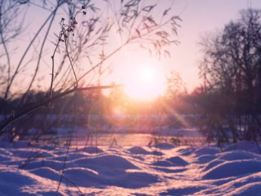 Güzel gün batımı kış ormanın içinde. Mercek parlaması ile şube tarih seçici odak.
