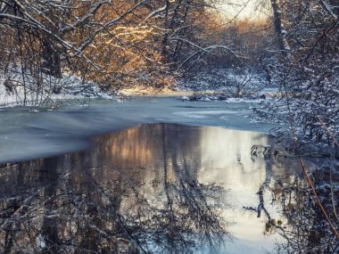 Sihirli kış orman donmuş gölet ile akşamları