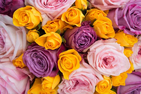 Барвистий свіжий фон троянд — стокове фото