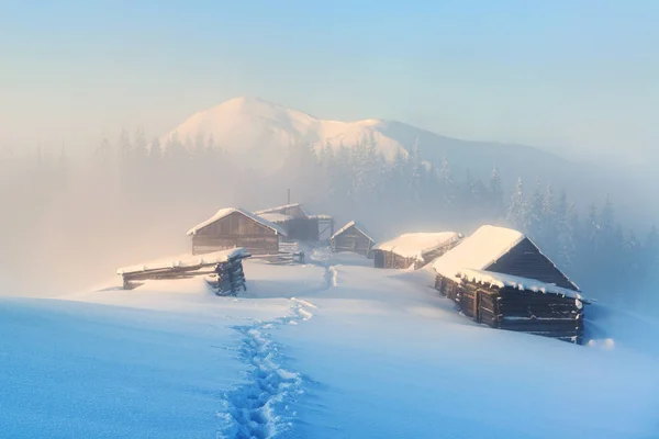 Wysoki Zima w górach — Zdjęcie stockowe