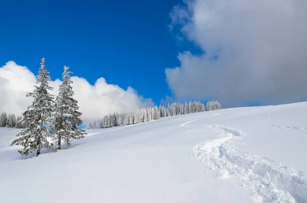 カルパティア山脈の高い雪をトレイルします。. — ストック写真