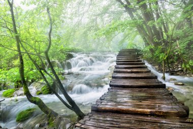 Plitvece gölleri Milli Parkı içinde ahşap patika