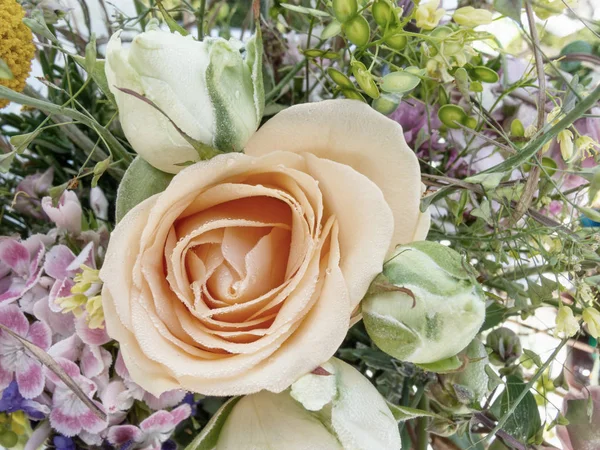 Rosa con rocío matutino y flores de campo . — Foto de Stock