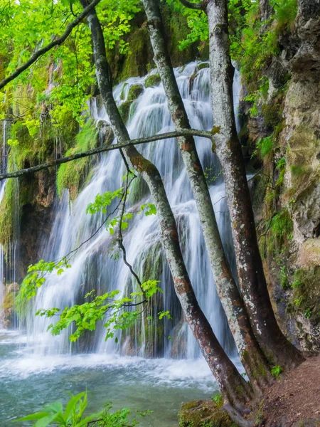 Plitvice Gölleri, Hırvatistan doğal peyzaj — Stok fotoğraf
