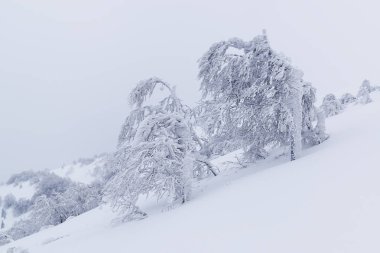 Şiddetli kar yağışı ve dağlardaki buzullar