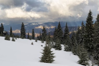 Kış Dağı Manzarası