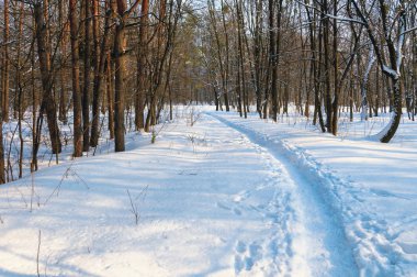 Parkta Noel sabahı. 