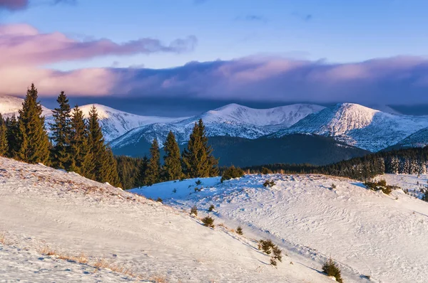 Mañana fría y soleada en lo alto de las montañas . —  Fotos de Stock
