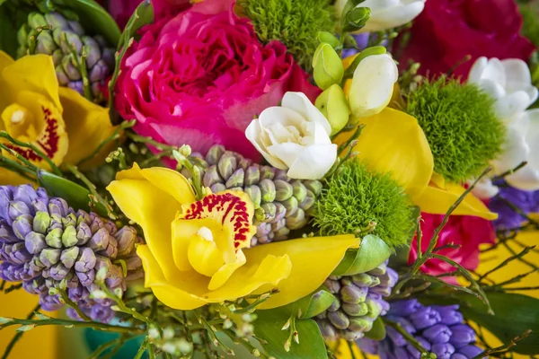 Dekoratív virágok háttér — Stock Fotó