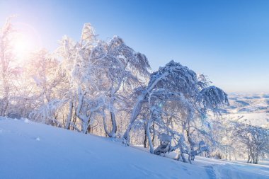 İnanılmaz bir kış sabahı. 