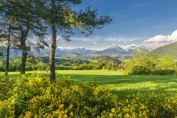Zelené horské údolí v Provence — Stock fotografie
