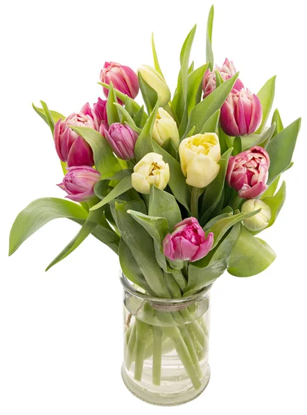 Tavaszi tulipánok a vázában — Stock Fotó
