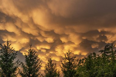 Nadir bulunan mammatus bulutları 