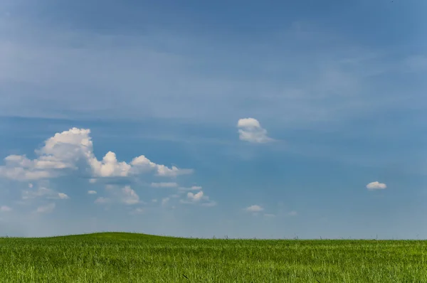 Minimalisticlandscape Com Campo Verde Céu Azul Com Pequenas Nuvens Panorama — Fotografia de Stock