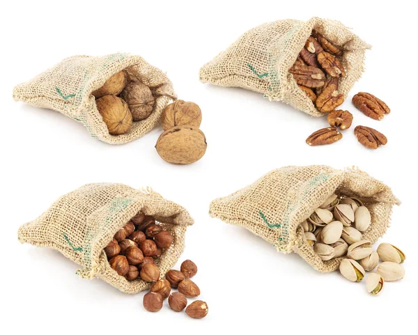 Sběr Lískových Ořechů Ořechů Ořechů Pistácií Pytlích Izolovaných Bílém Podkladu — Stock fotografie