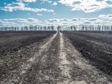 Toprak yol ve tarlalar. Bahar kırsal arazisi