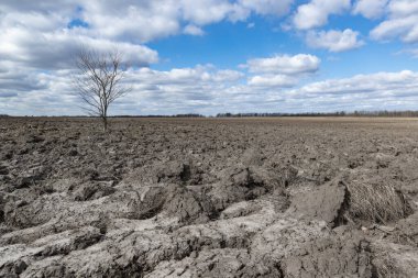 Toprağı sürdüm ve yapayalnız kaldım. Tarlada ekilmiş arazi. İlkbahar kırsalda.