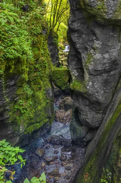 Tolmin Gorges Parkı Ndaki Ünlü Ayı Başı Taşı Slovenya Daki — Stok fotoğraf