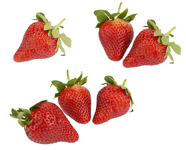 新鲜草莓 白色孤立 没有阴影的草莓采集 — 图库照片