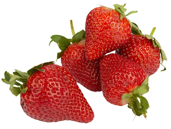 一丛颗成熟的草莓 白色孤立 没有阴影 维生素A的新鲜美味来源 — 图库照片