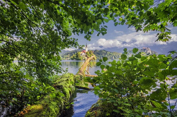 Bled Lake Landscape Creative Unusual Landscape Bled Lake Slovenia Summer — Stock Photo, Image