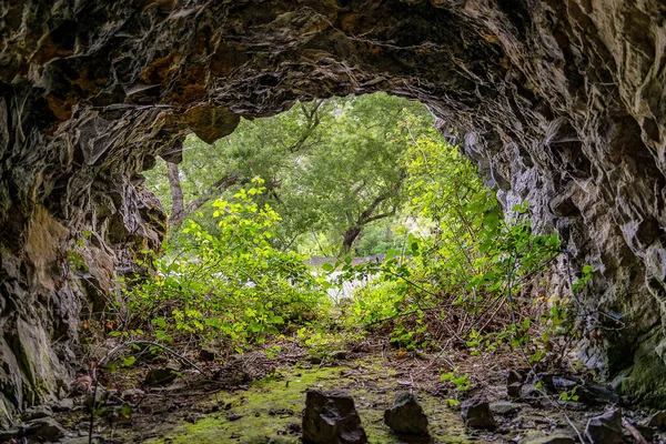 Vista Desde Dentro Una Cueva Oscura Plantas Verdes Luz Salida —  Fotos de Stock