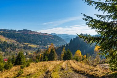 Canlı dağ manzarası. Karpat Dağları, Ukrayna