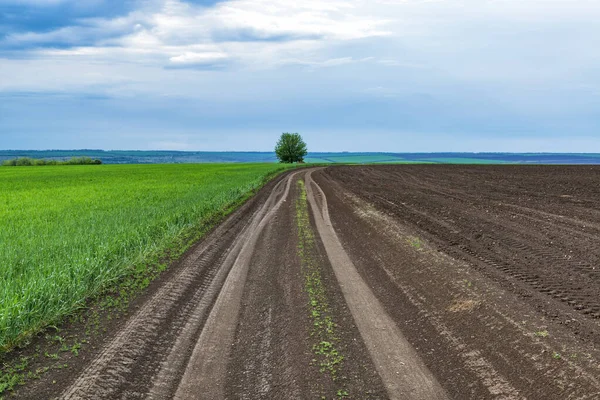 Špinavá Cesta Přes Zelené Pole Před Deštěm Hraběcí Krajina Doprava — Stock fotografie