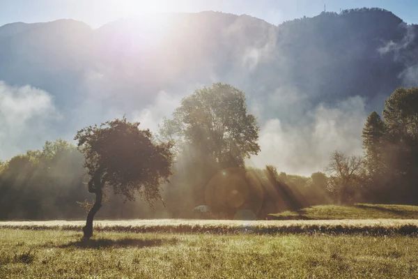 山の牧草地で霧の朝 ソカ谷 スロベニアの牧歌的な風景 — ストック写真