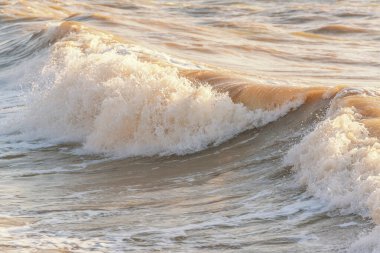 Deniz kenarında dalgalar kopuyor. Güneş tarafından aydınlatılan deniz dalgaları