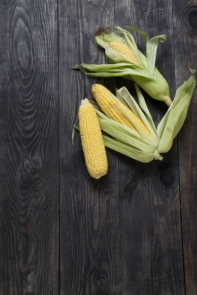 Кукуруза и дерево — стоковое фото
