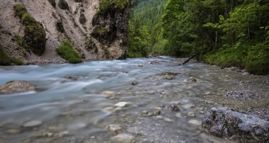 Bavyera Alpleri dağlarında küçük nehir