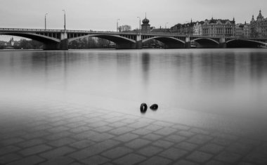Prag'daki Charles Köprüsü ve Wenceslas  
