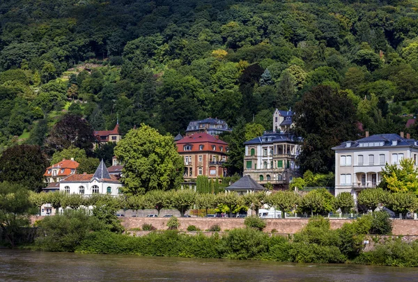 Lever på floden Neckar i Tyskland — Stockfoto