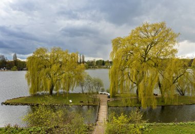 Mecklenburg Vorpommern Gölü Schwerin, ağaçlar  