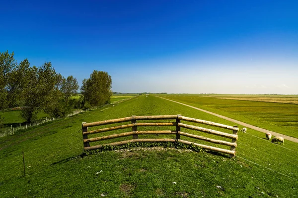Lezbiyen bir çit — Stok fotoğraf
