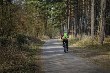 Bahar Orman bölgesi ile Bisiklete binme  