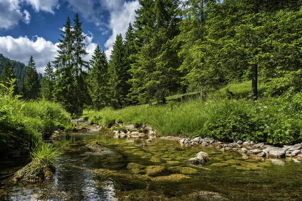 Pequeño río en los Alpes bávaros —  Fotos de Stock