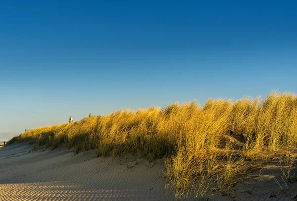 Dune e spiaggia sabbiosa sul Mar Baltico — Foto Stock