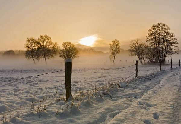 Ήλιος τον Δεκέμβριο με φρέσκο χιόνι — Φωτογραφία Αρχείου