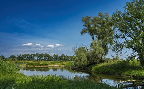 Am Fluss oder im Grenzgebiet zwischen Polen und Deutschland im Land Brandenburg — Stockfoto