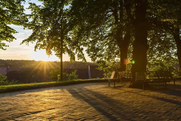 Sedák pod strom při západu slunce — Stock fotografie