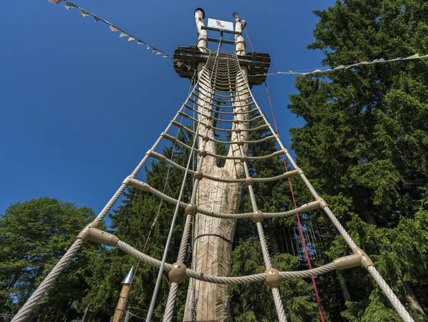 Rope ladder on a tree in the climbing park — Stock Photo, Image