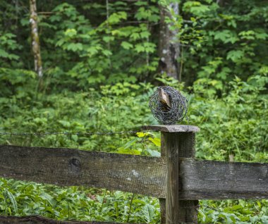 Küçük ahşap çit dikenli tel ile  