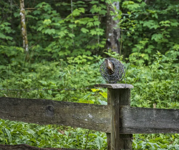 Küçük ahşap çit dikenli tel ile  
