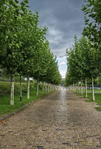 Małych avenue z drzew, w nowej dzielnicy we Frankfurcie nad Menem — Zdjęcie stockowe