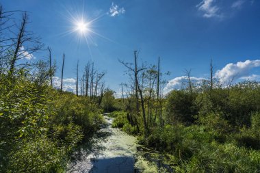 Berlin kuzeyde bir doğa rezerv içinde korunan Biostop  